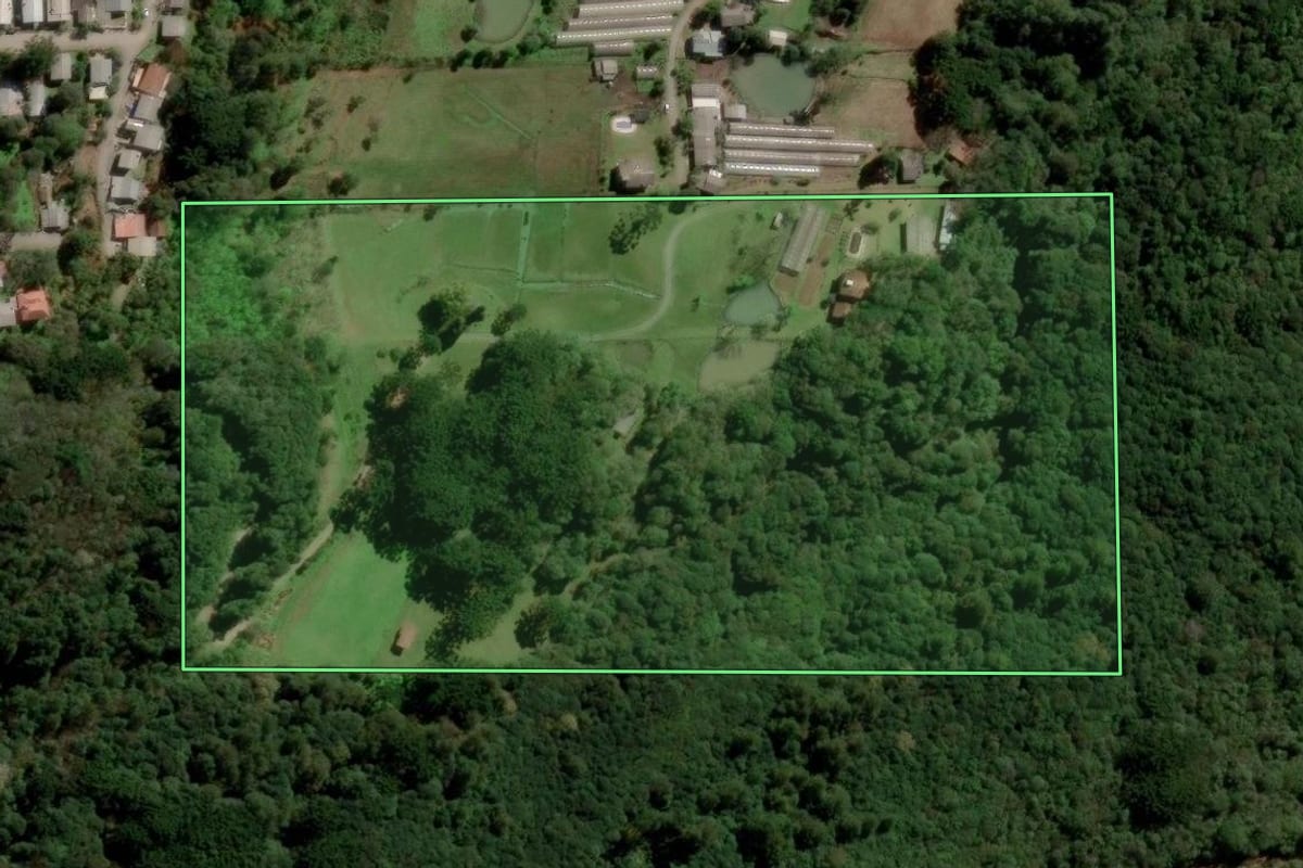 Imagem de satélite do imóvel rural em Caxias do Sul (RS), com o contorno declarado no CAR desenhado por cima.