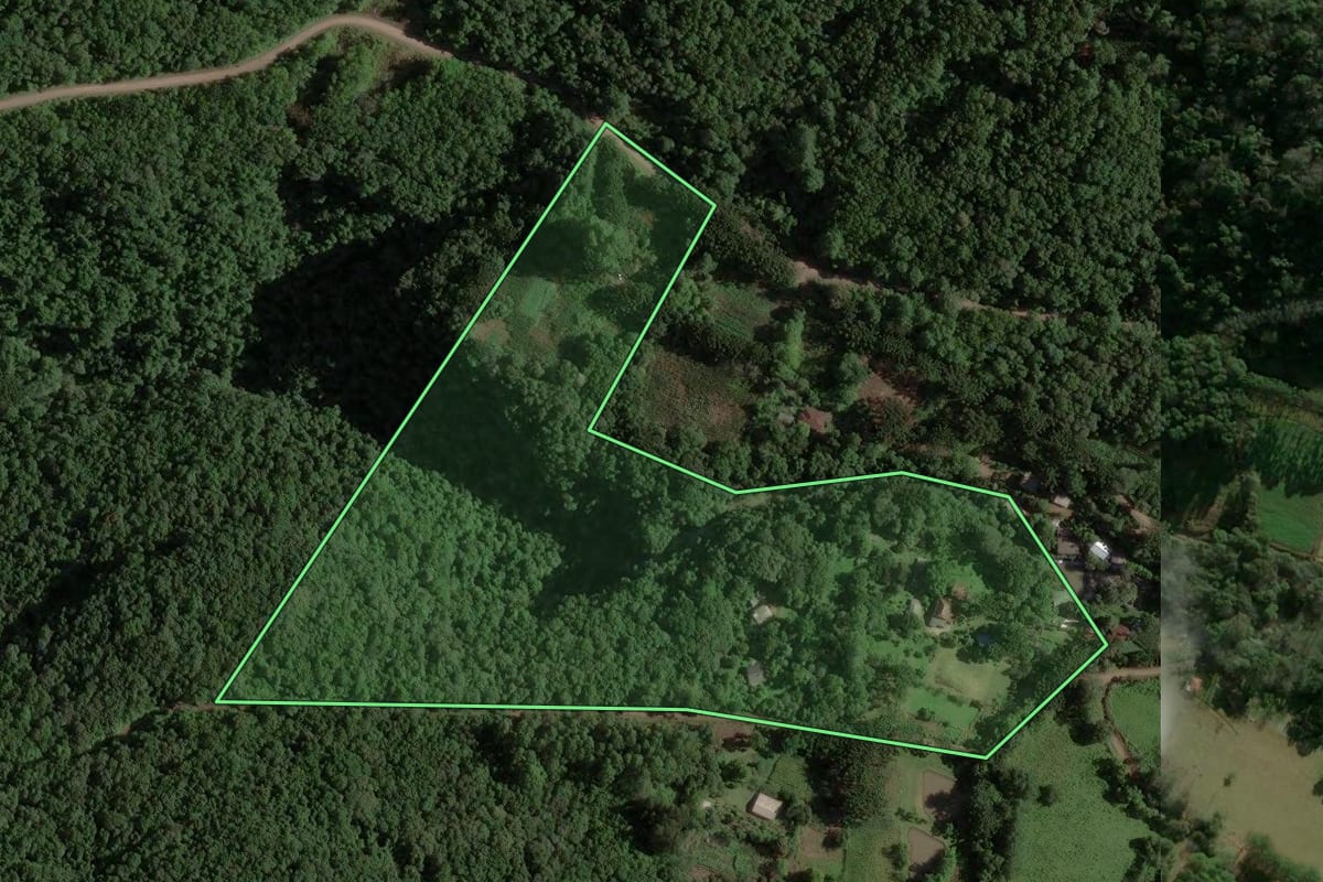 Imagem de satélite do imóvel rural em Caxias do Sul (RS), com o contorno declarado no CAR desenhado por cima.