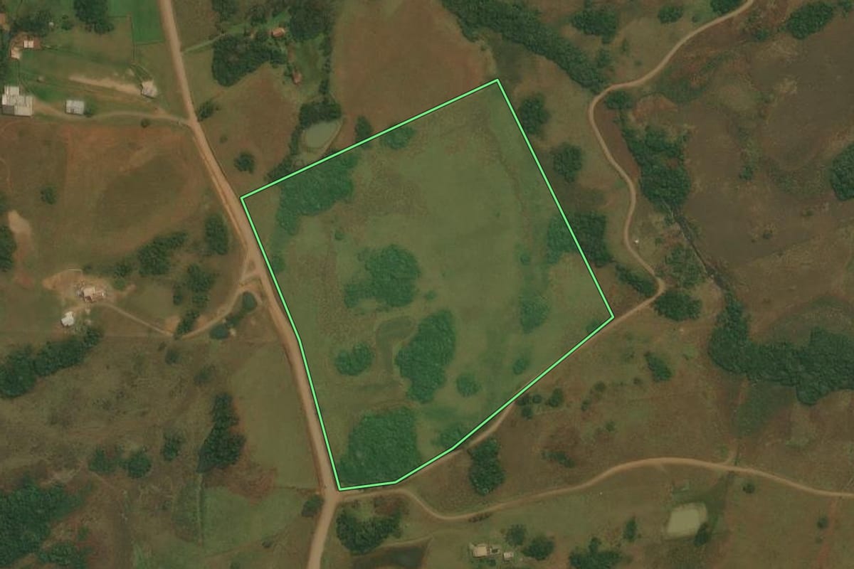 Imagem de satélite do imóvel rural em Caxias do Sul (RS), com o contorno declarado no CAR desenhado por cima.