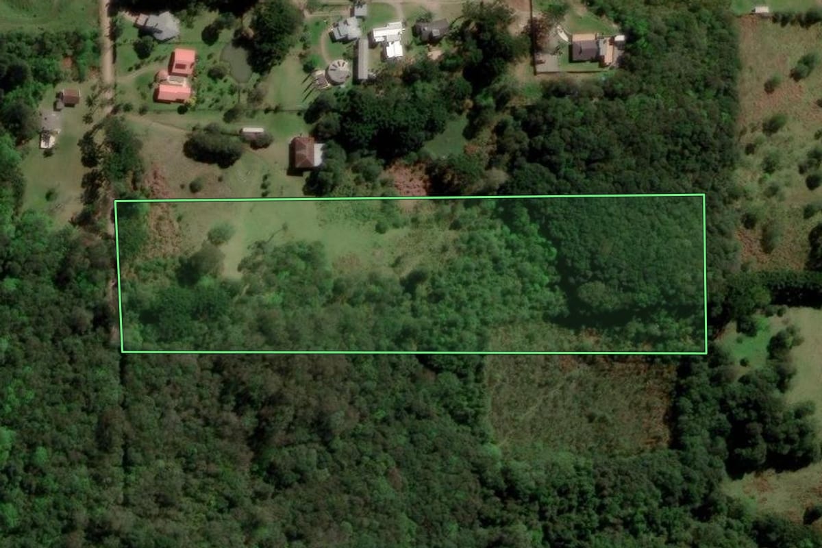 Imagem de satélite do imóvel rural em Caxias do Sul (RS), com o contorno declarado no CAR desenhado por cima.