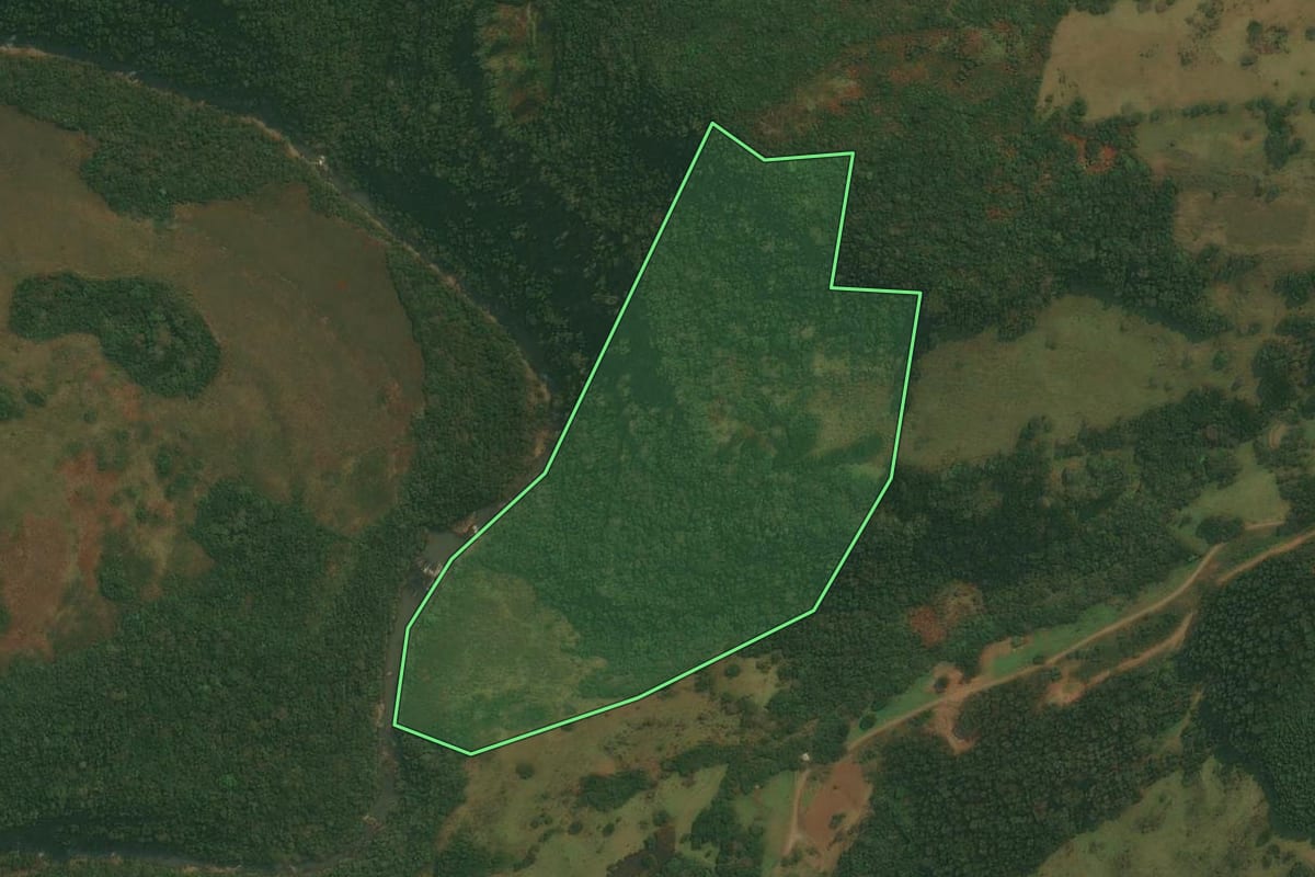 Imagem de satélite do imóvel rural em Caxias do Sul (RS), com o contorno declarado no CAR desenhado por cima.