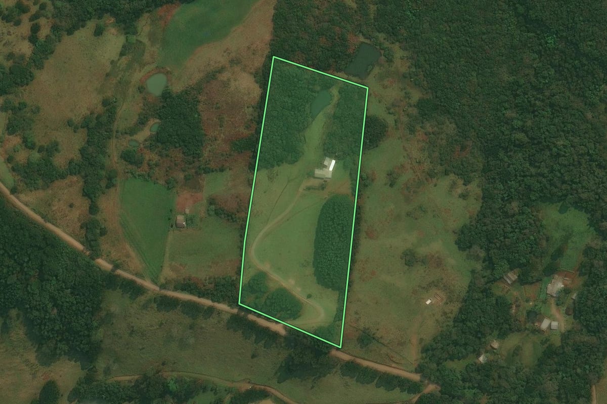 Imagem de satélite do imóvel rural em Caxias do Sul (RS), com o contorno declarado no CAR desenhado por cima.