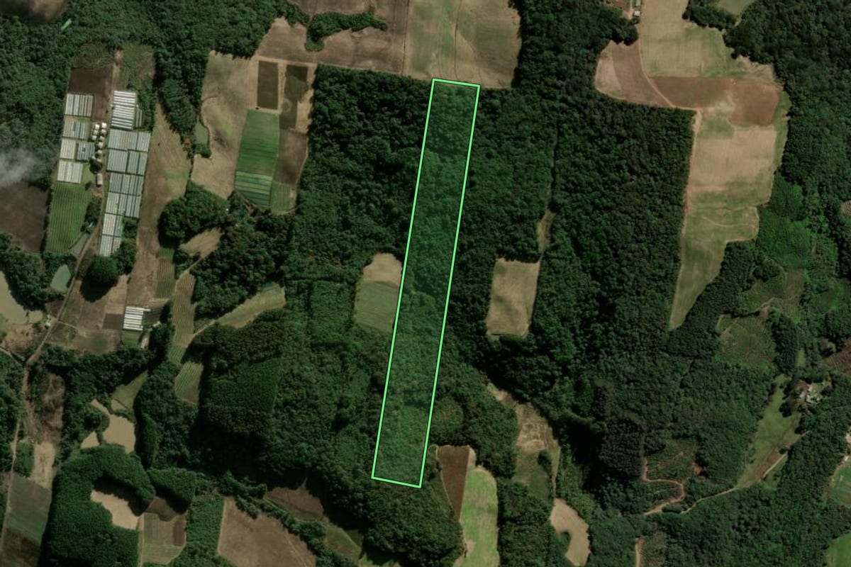 Imagem de satélite do imóvel rural em Caxias do Sul (RS), com o contorno declarado no CAR desenhado por cima.