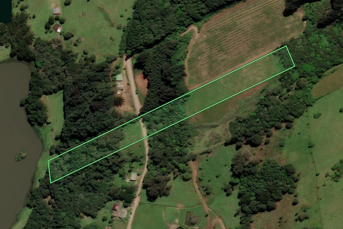 Imagem de satélite do imóvel rural em Caxias do Sul (RS), com o contorno declarado no CAR desenhado por cima.