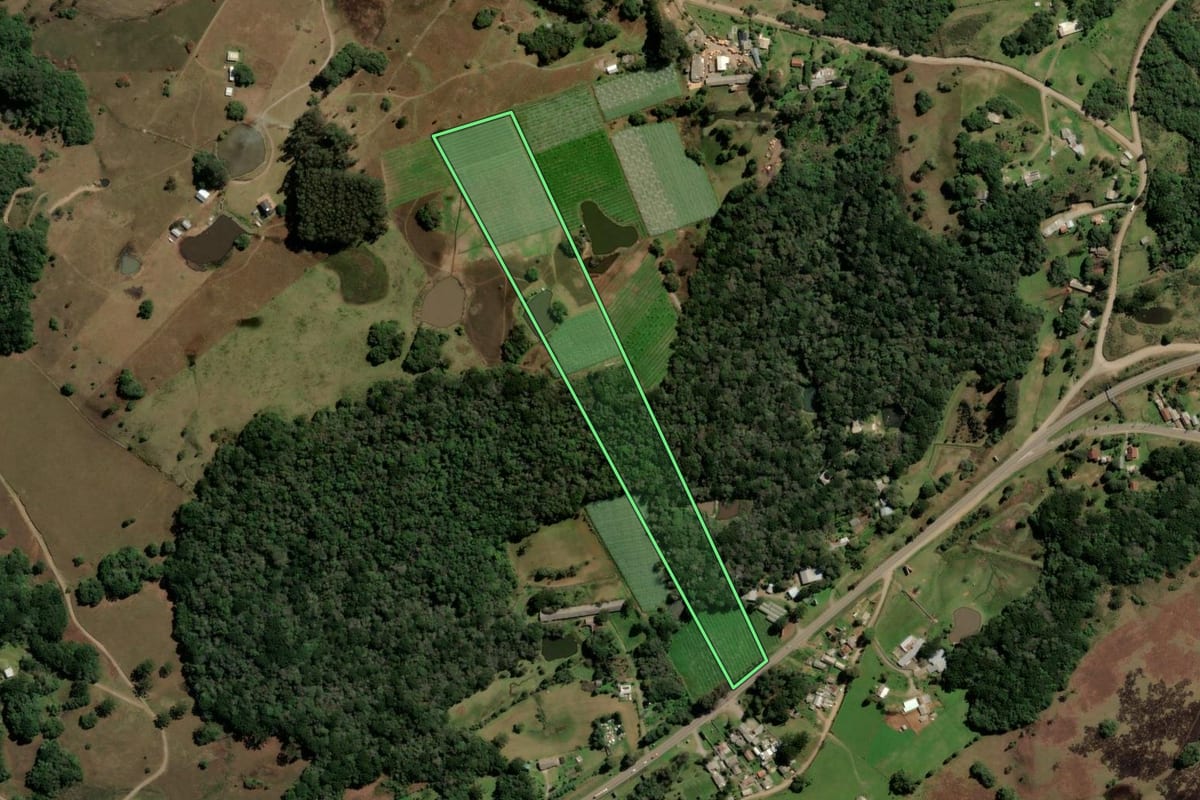 Imagem de satélite do imóvel rural em Caxias do Sul (RS), com o contorno declarado no CAR desenhado por cima.