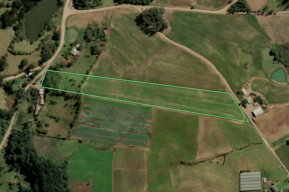 Imagem de satélite do imóvel rural em Caxias do Sul (RS), com o contorno declarado no CAR desenhado por cima.