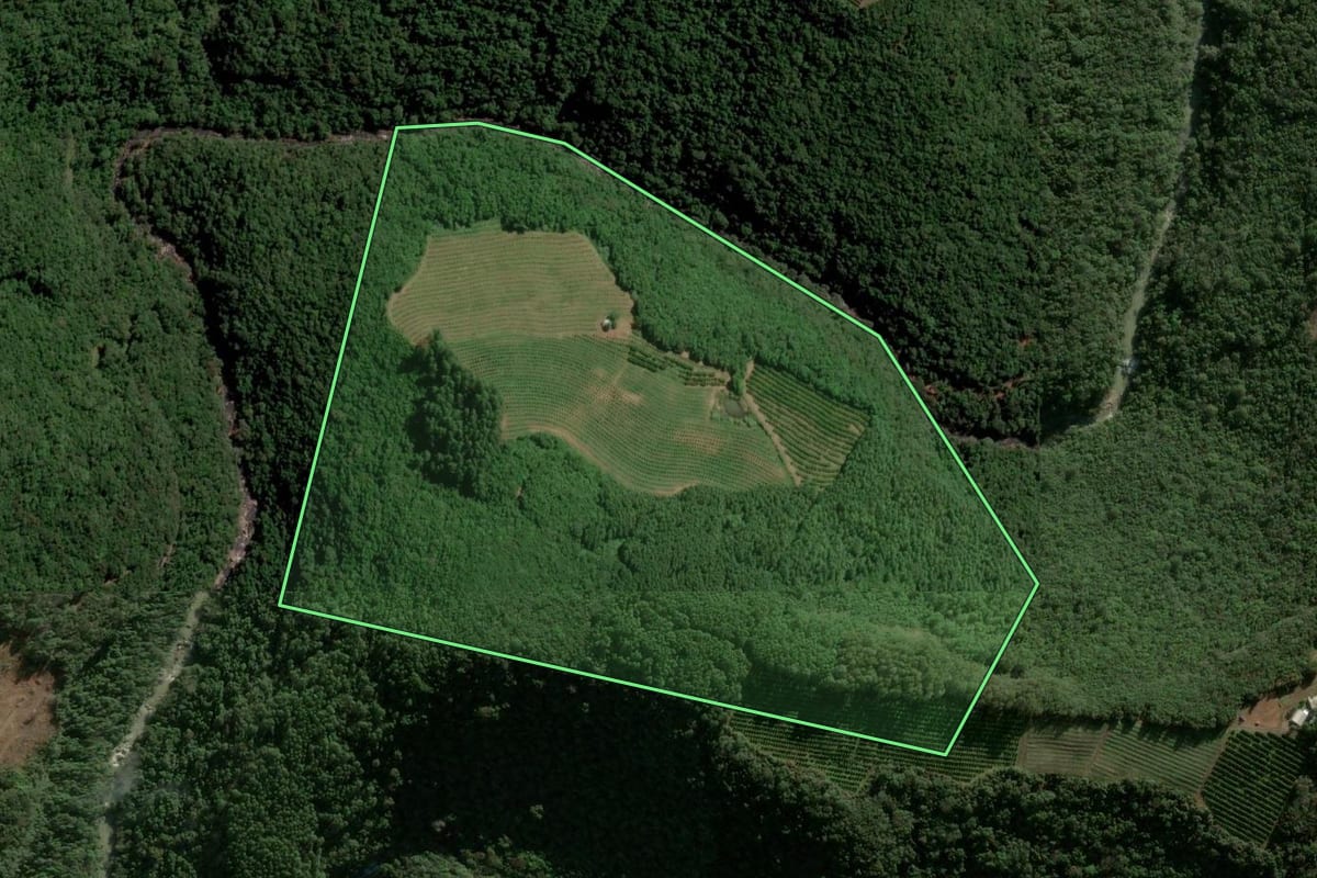 Imagem de satélite do imóvel rural em Caxias do Sul (RS), com o contorno declarado no CAR desenhado por cima.