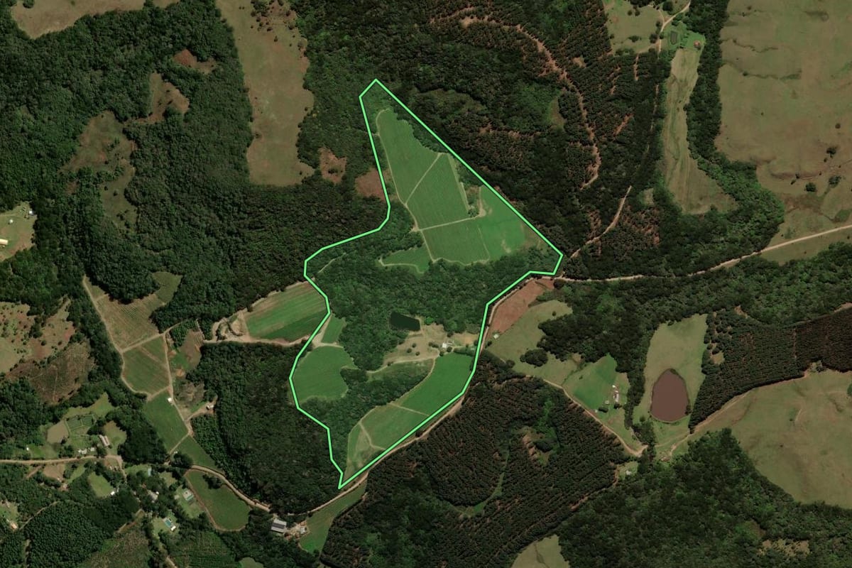 Imagem de satélite do imóvel rural em Caxias do Sul (RS), com o contorno declarado no CAR desenhado por cima.