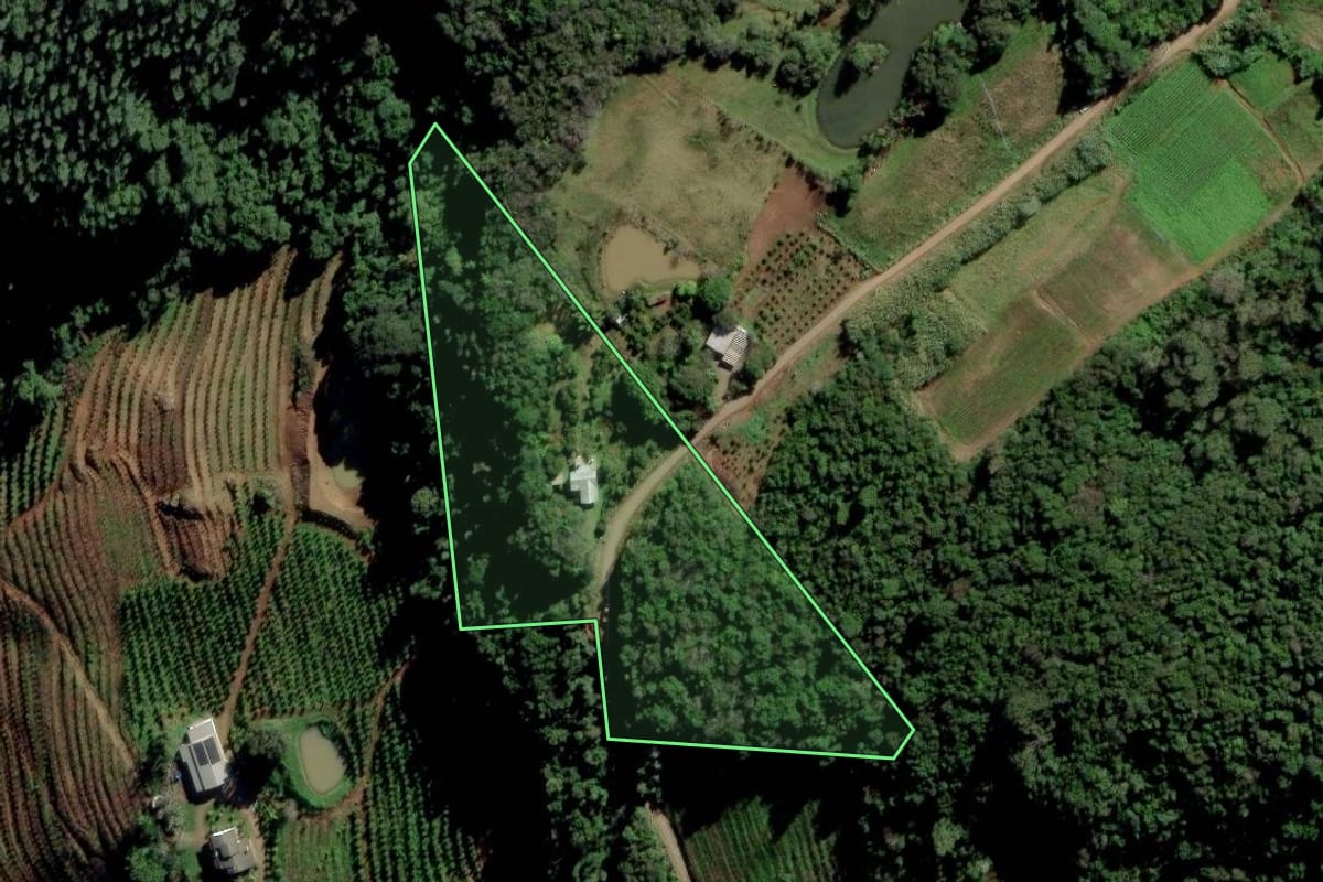 Imagem de satélite do imóvel rural em Caxias do Sul (RS), com o contorno declarado no CAR desenhado por cima.