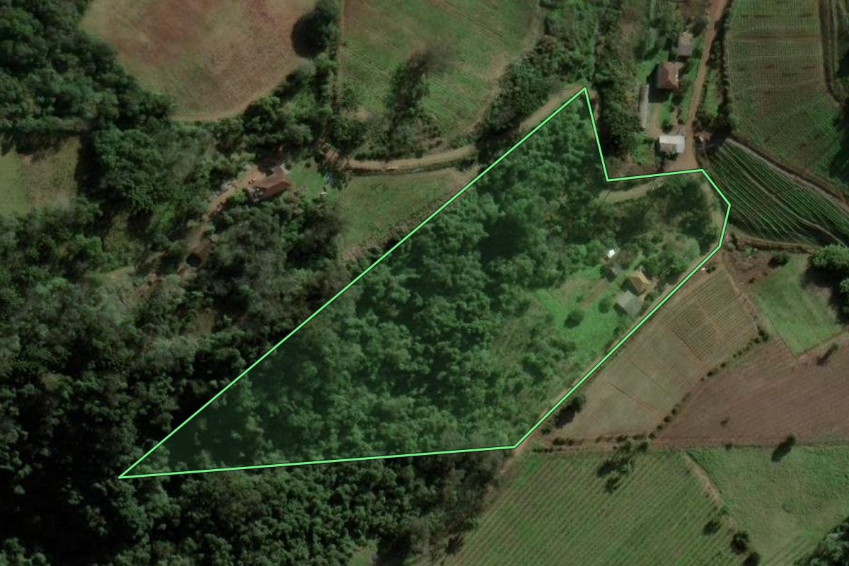 Imagem de satélite do imóvel rural em Caxias do Sul (RS), com o contorno declarado no CAR desenhado por cima.