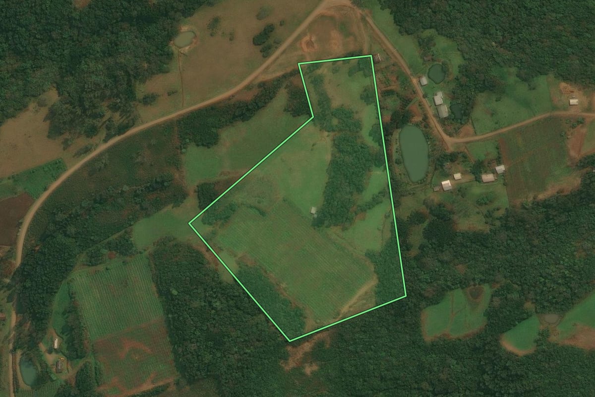 Imagem de satélite do imóvel rural em Caxias do Sul (RS), com o contorno declarado no CAR desenhado por cima.