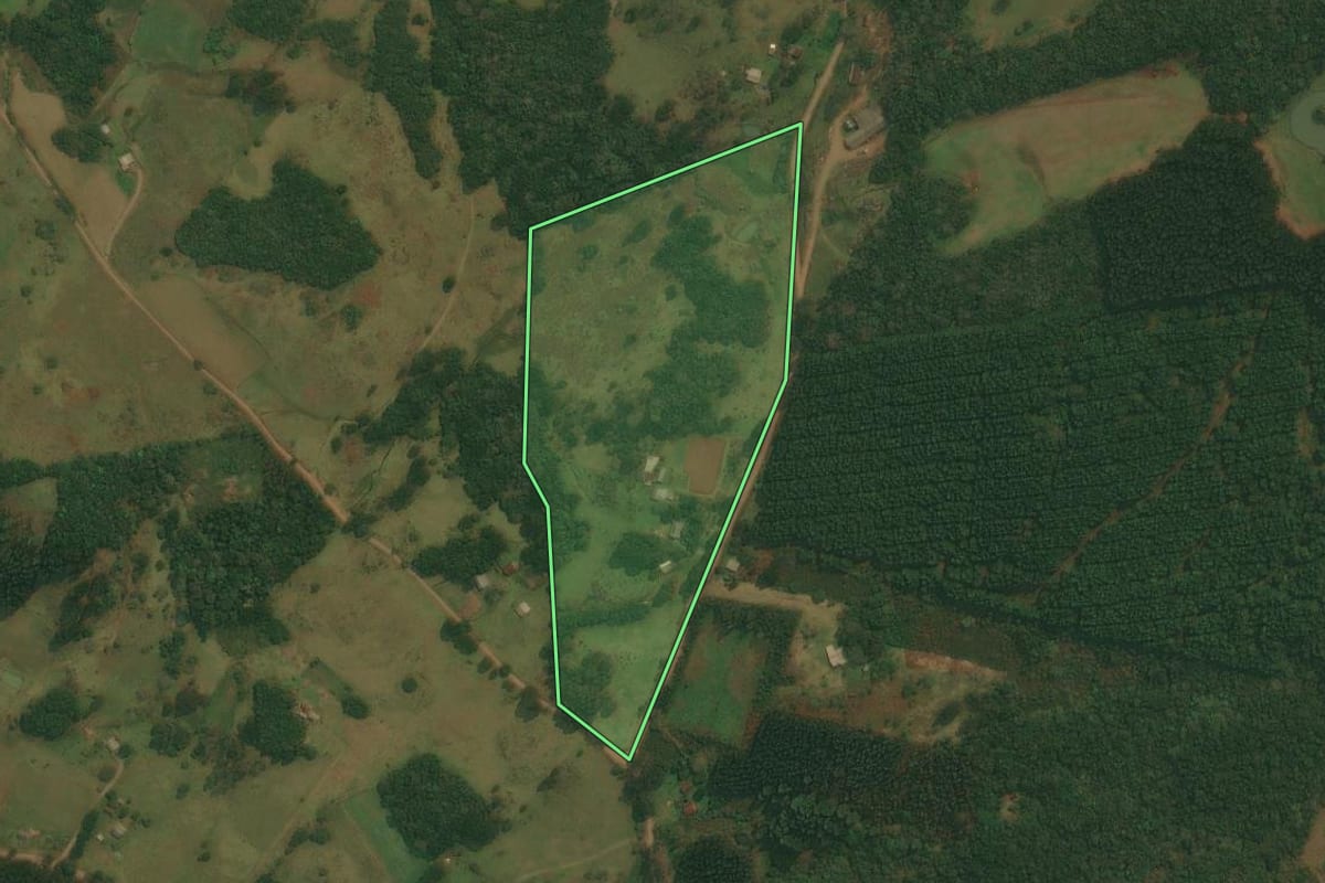 Imagem de satélite do imóvel rural em Caxias do Sul (RS), com o contorno declarado no CAR desenhado por cima.