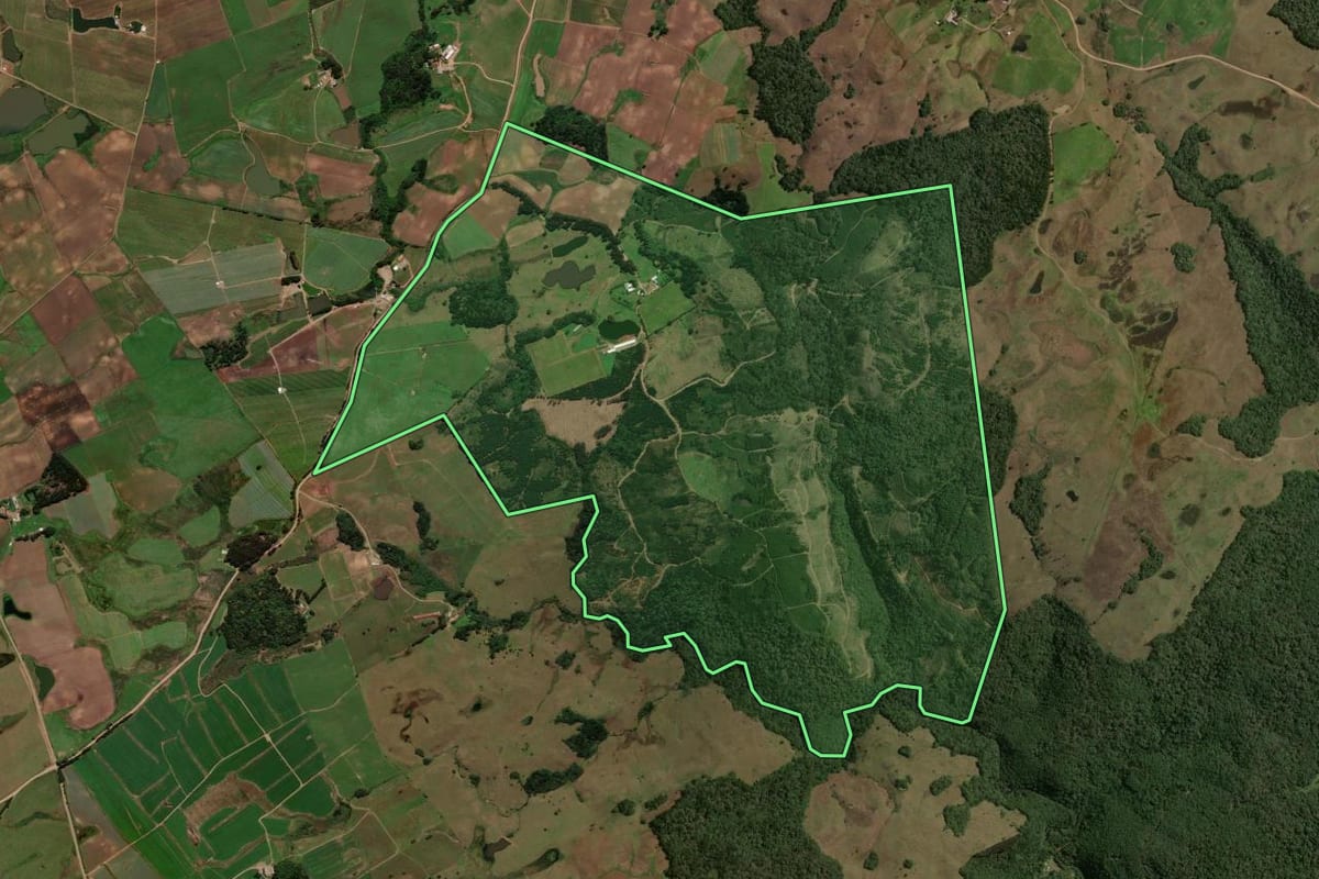 Imagem de satélite do imóvel rural em Caxias do Sul (RS), com o contorno declarado no CAR desenhado por cima.