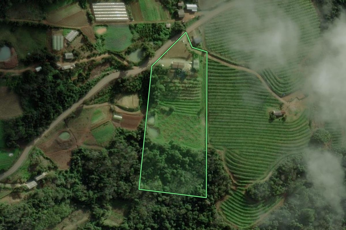 Imagem de satélite do imóvel rural em Caxias do Sul (RS), com o contorno declarado no CAR desenhado por cima.