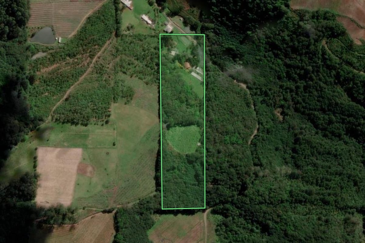 Imagem de satélite do imóvel rural em Caxias do Sul (RS), com o contorno declarado no CAR desenhado por cima.