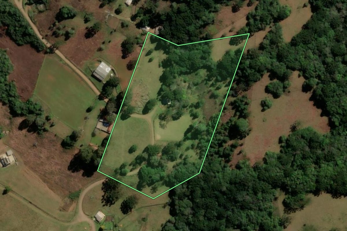 Imagem de satélite do imóvel rural em Caxias do Sul (RS), com o contorno declarado no CAR desenhado por cima.