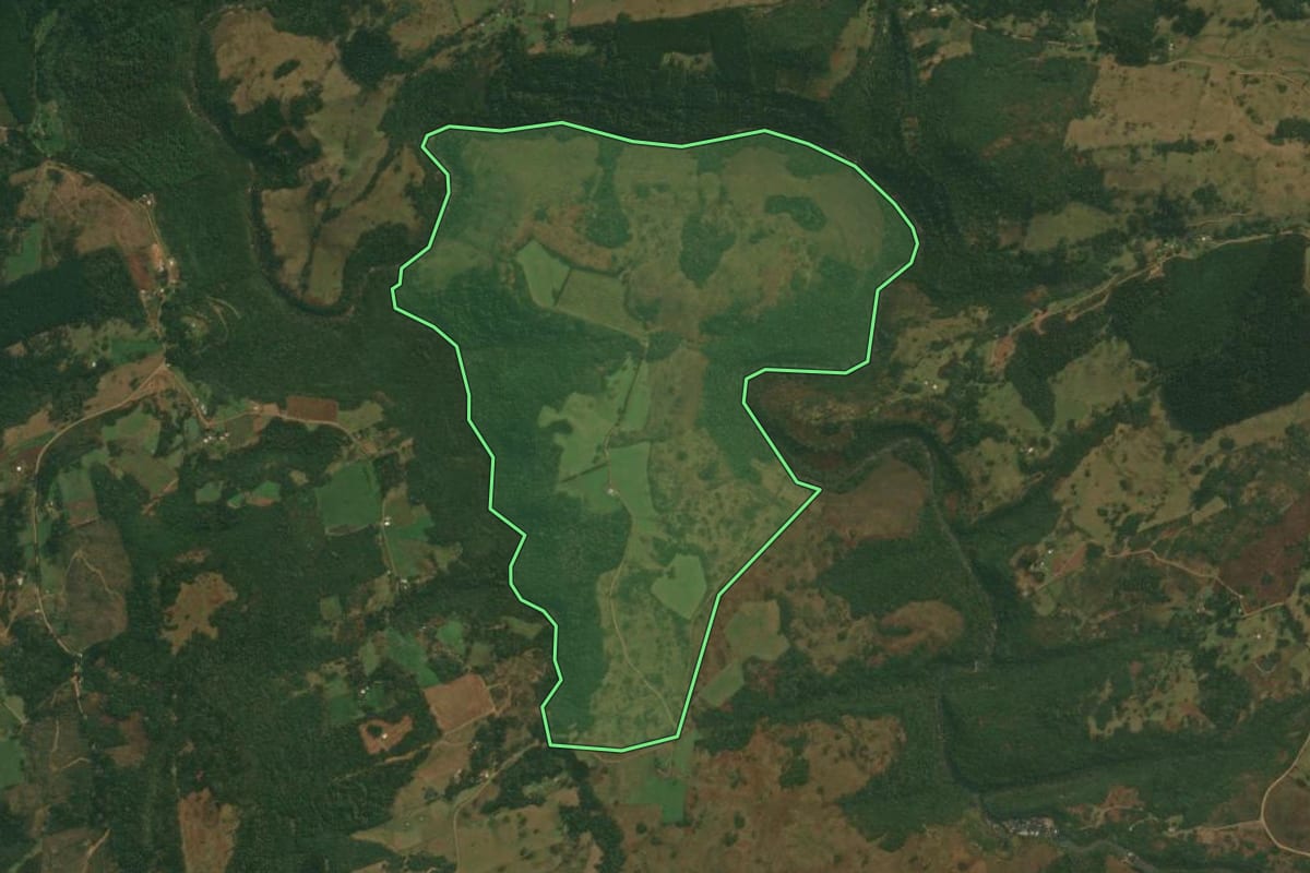 Imagem de satélite do imóvel rural em Caxias do Sul (RS), com o contorno declarado no CAR desenhado por cima.