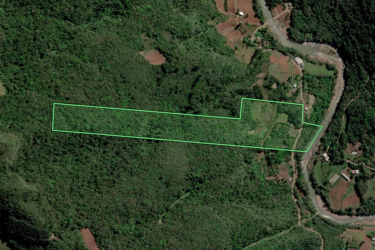 Imagem de satélite do imóvel rural em Caxias do Sul (RS), com o contorno declarado no CAR desenhado por cima.