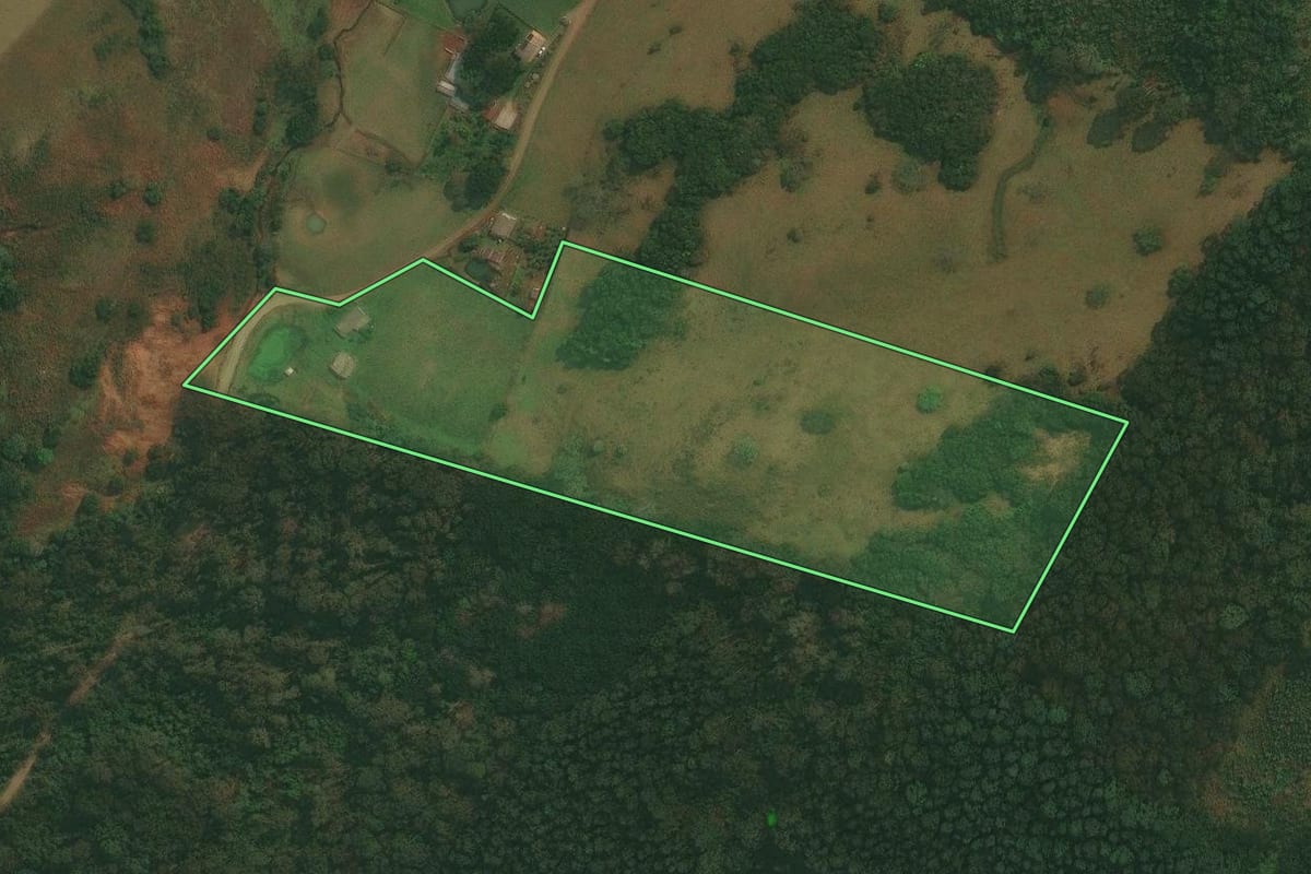 Imagem de satélite do imóvel rural em Caxias do Sul (RS), com o contorno declarado no CAR desenhado por cima.
