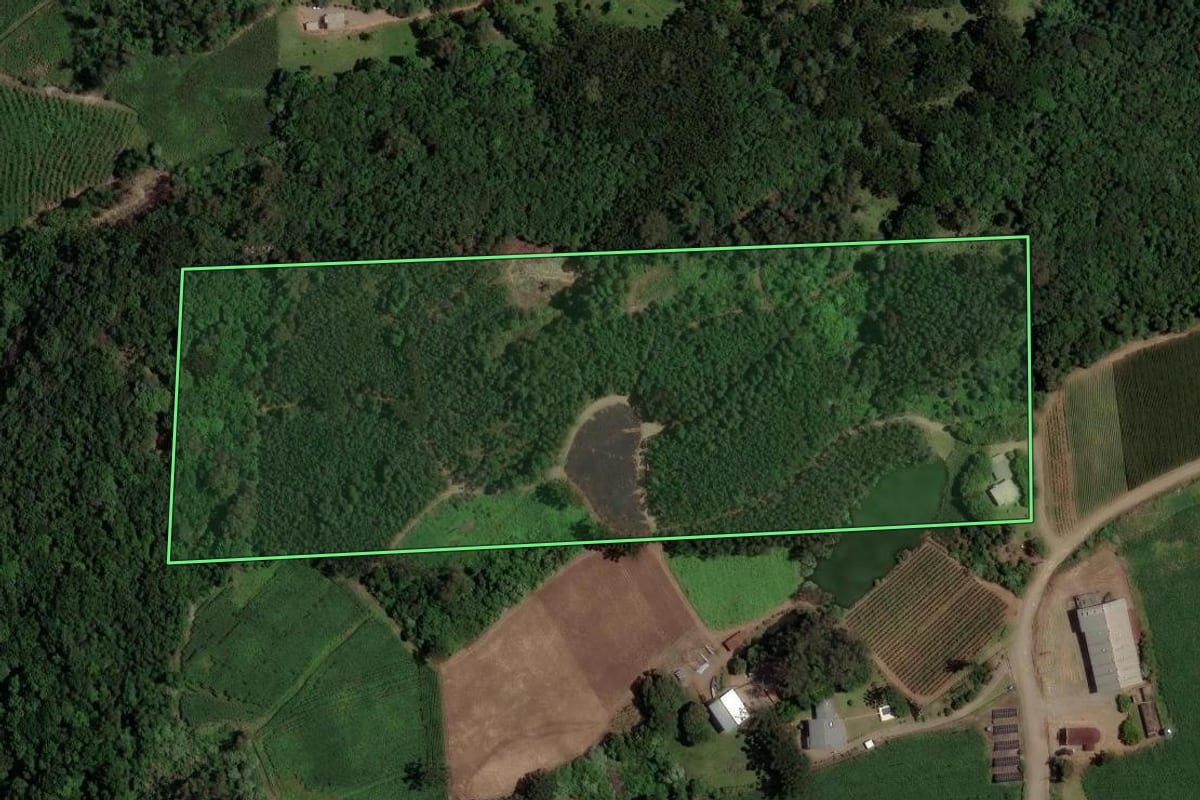 Imagem de satélite do imóvel rural em Caxias do Sul (RS), com o contorno declarado no CAR desenhado por cima.