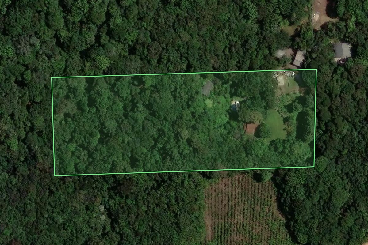 Imagem de satélite do imóvel rural em Caxias do Sul (RS), com o contorno declarado no CAR desenhado por cima.