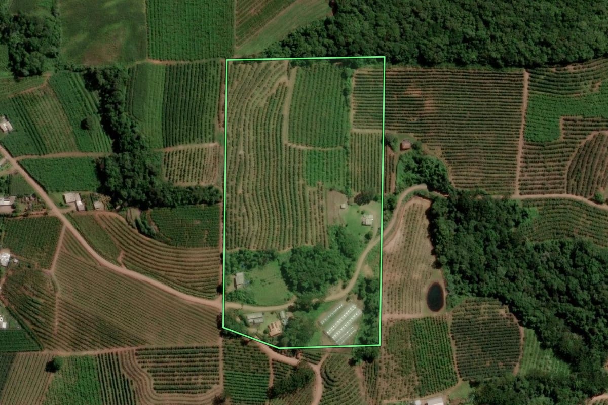 Imagem de satélite do imóvel rural em Caxias do Sul (RS), com o contorno declarado no CAR desenhado por cima.