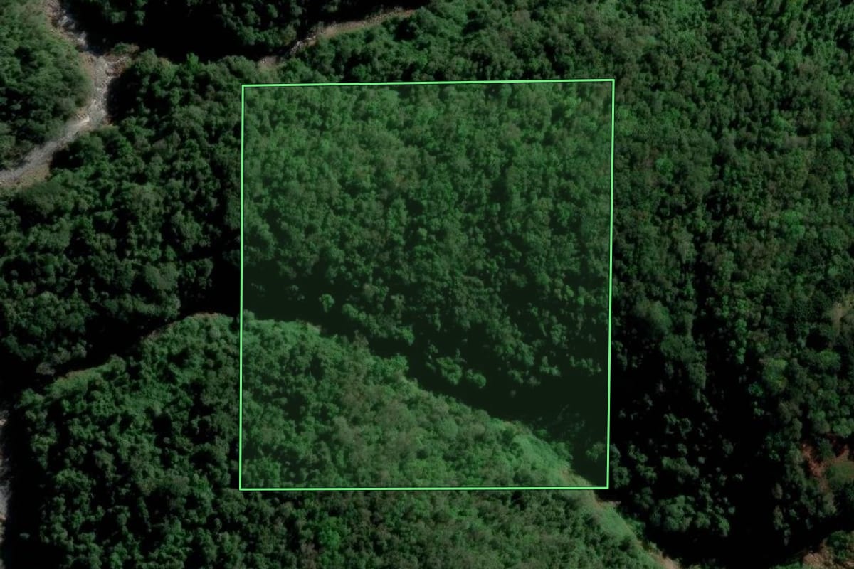 Imagem de satélite do imóvel rural em Caxias do Sul (RS), com o contorno declarado no CAR desenhado por cima.