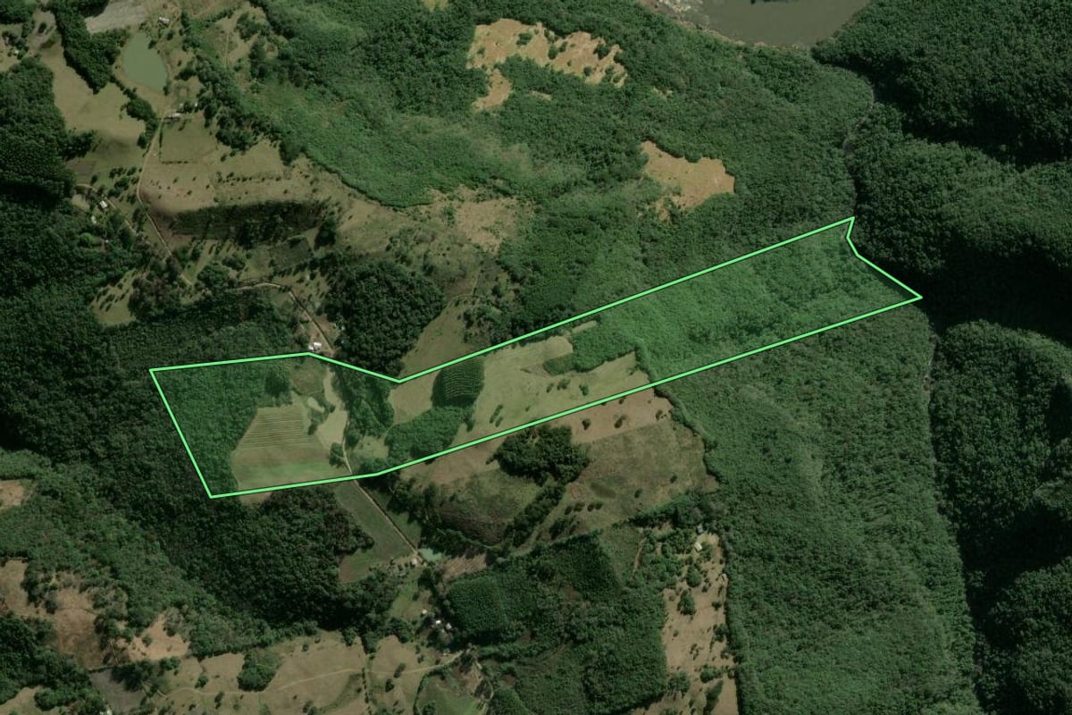 Imagem de satélite do imóvel rural em Caxias do Sul (RS), com o contorno declarado no CAR desenhado por cima.