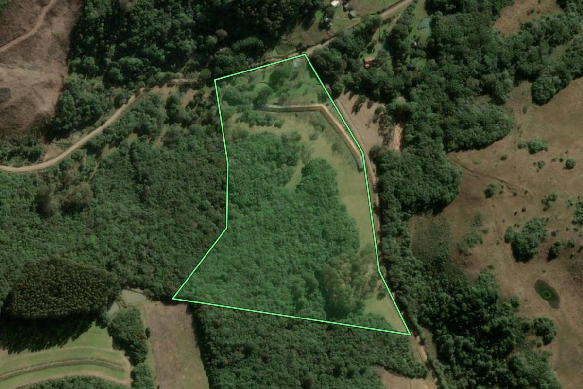 Imagem de satélite do imóvel rural em Caxias do Sul (RS), com o contorno declarado no CAR desenhado por cima.