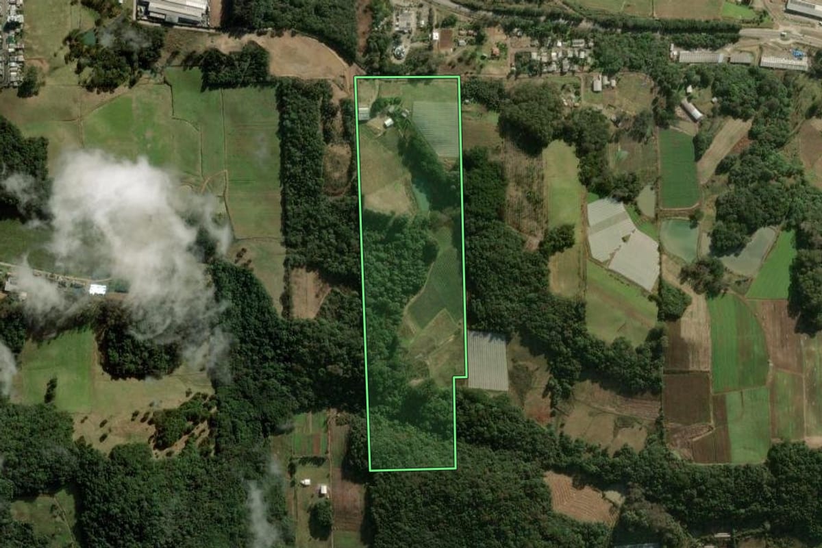 Imagem de satélite do imóvel rural em Caxias do Sul (RS), com o contorno declarado no CAR desenhado por cima.