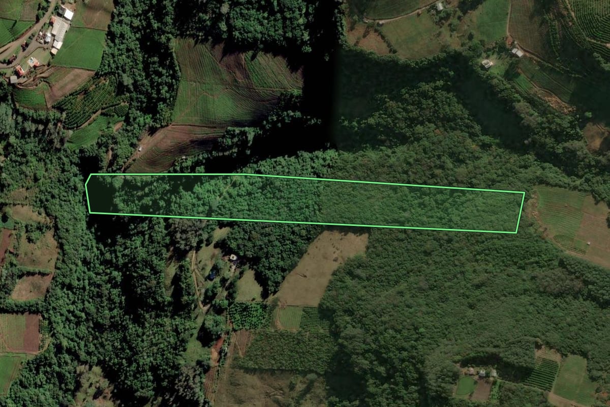 Imagem de satélite do imóvel rural em Caxias do Sul (RS), com o contorno declarado no CAR desenhado por cima.