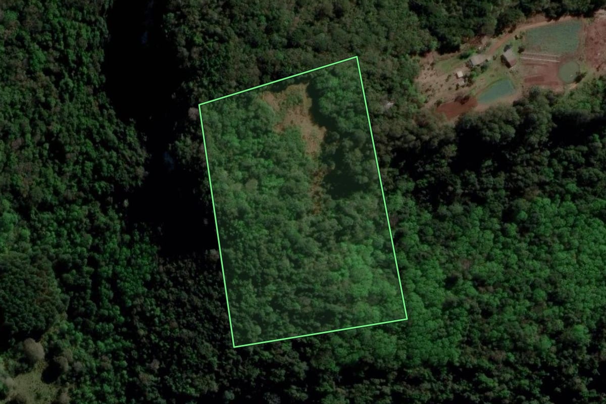 Imagem de satélite do imóvel rural em Caxias do Sul (RS), com o contorno declarado no CAR desenhado por cima.