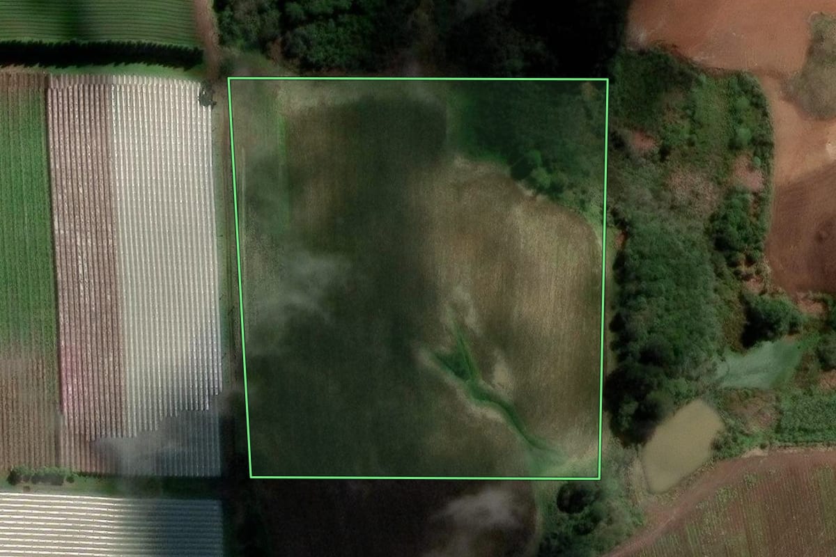 Imagem de satélite do imóvel rural em Caxias do Sul (RS), com o contorno declarado no CAR desenhado por cima.