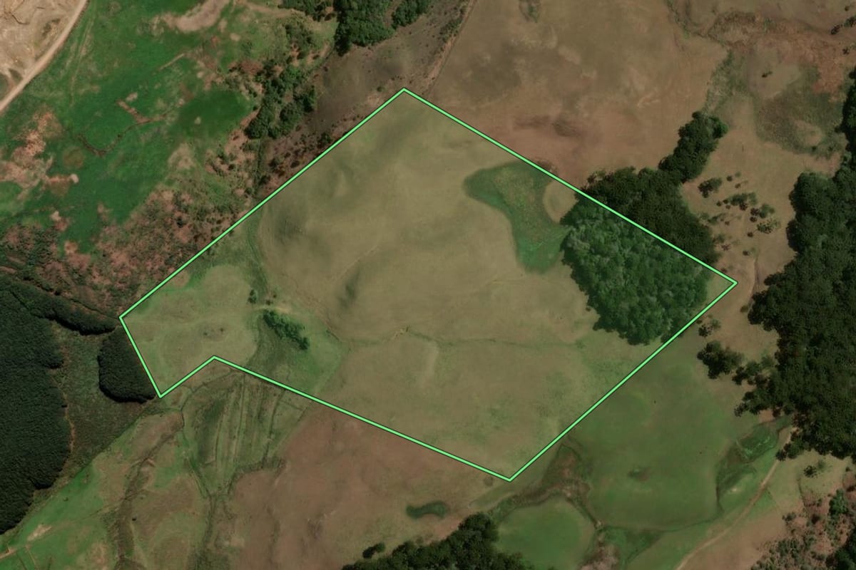 Imagem de satélite do imóvel rural em Caxias do Sul (RS), com o contorno declarado no CAR desenhado por cima.