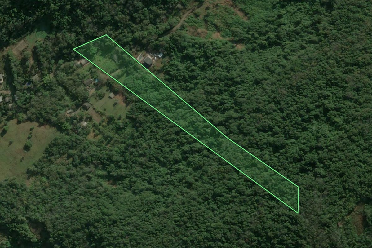 Imagem de satélite do imóvel rural em Caxias do Sul (RS), com o contorno declarado no CAR desenhado por cima.