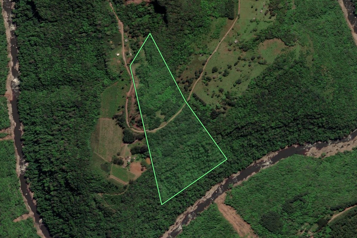 Imagem de satélite do imóvel rural em Caxias do Sul (RS), com o contorno declarado no CAR desenhado por cima.