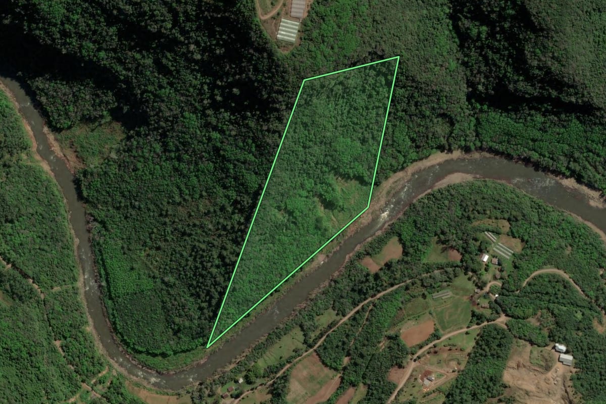 Imagem de satélite do imóvel rural em Caxias do Sul (RS), com o contorno declarado no CAR desenhado por cima.