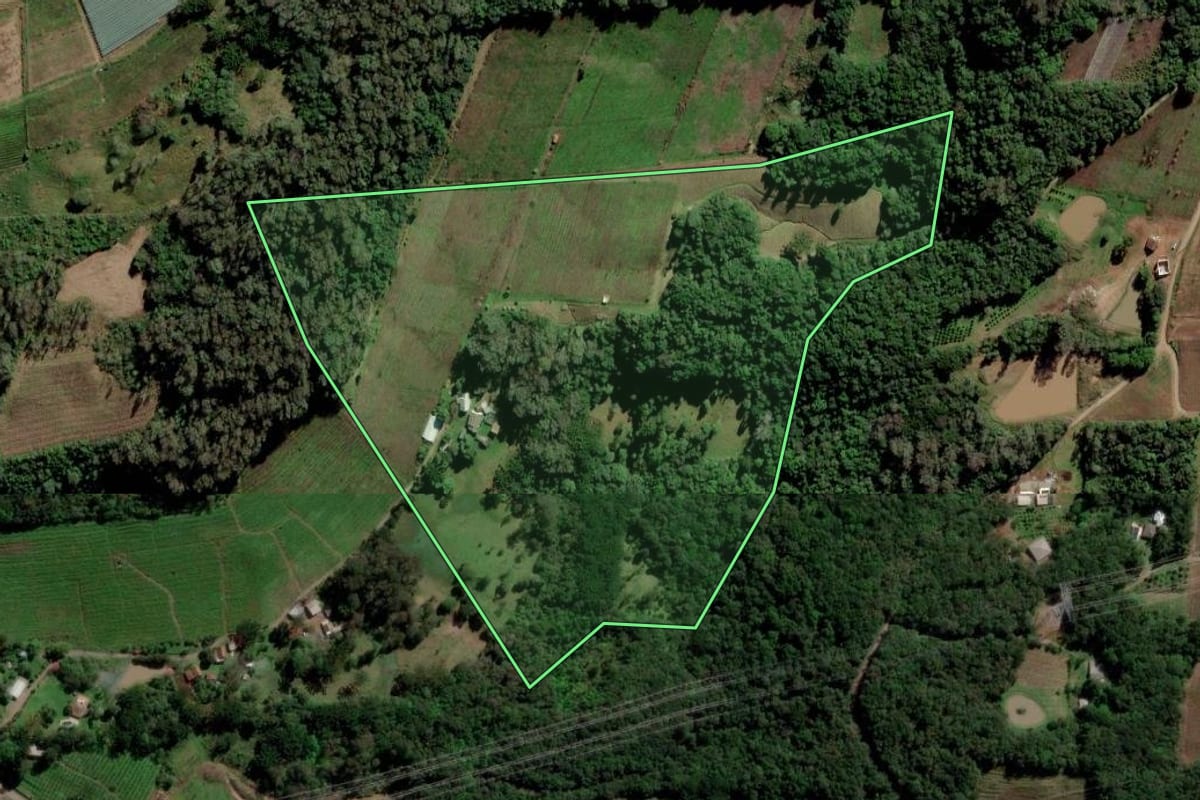 Imagem de satélite do imóvel rural em Caxias do Sul (RS), com o contorno declarado no CAR desenhado por cima.