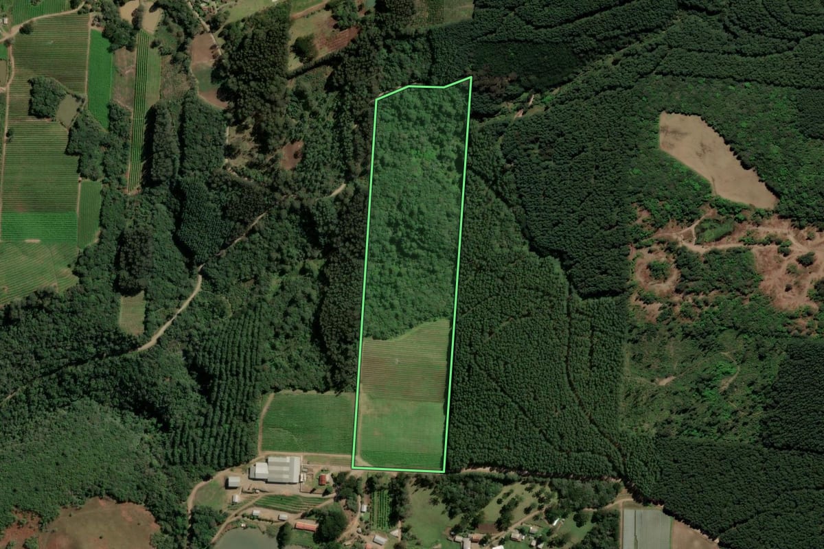 Imagem de satélite do imóvel rural em Caxias do Sul (RS), com o contorno declarado no CAR desenhado por cima.
