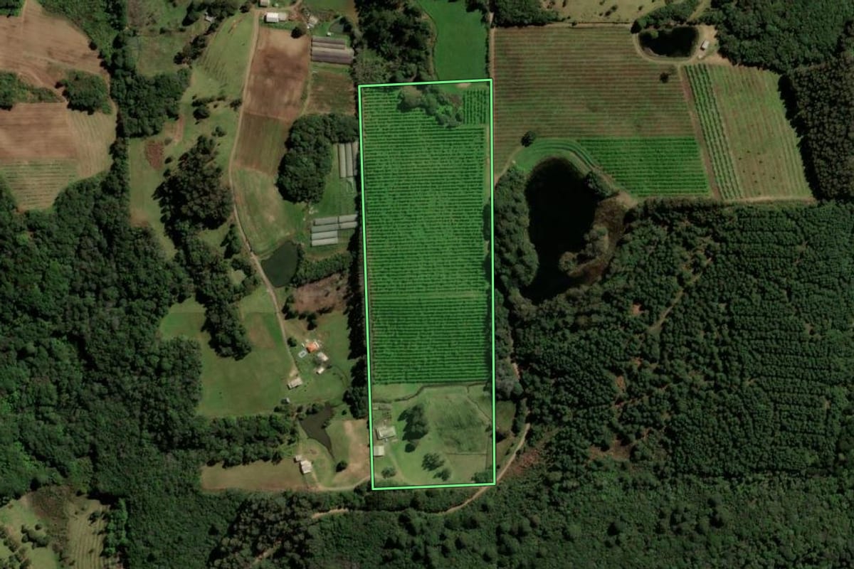 Imagem de satélite do imóvel rural em Caxias do Sul (RS), com o contorno declarado no CAR desenhado por cima.