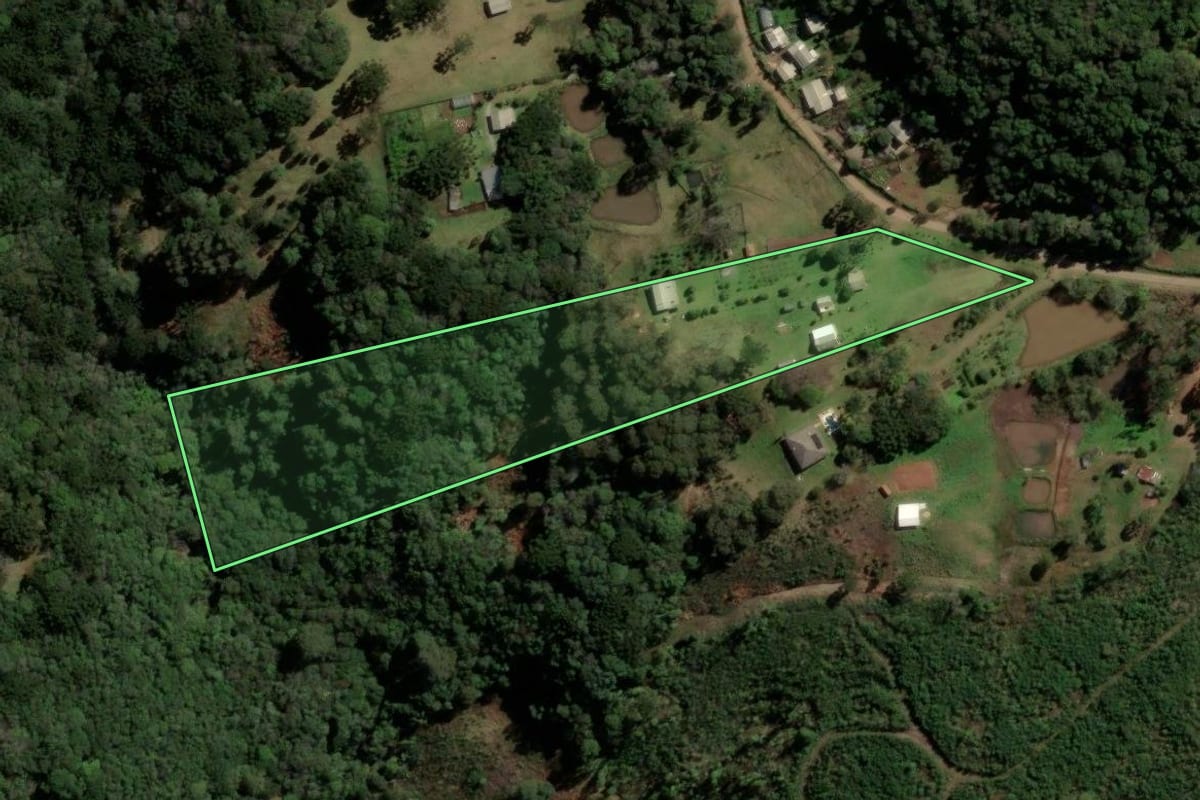 Imagem de satélite do imóvel rural em Caxias do Sul (RS), com o contorno declarado no CAR desenhado por cima.