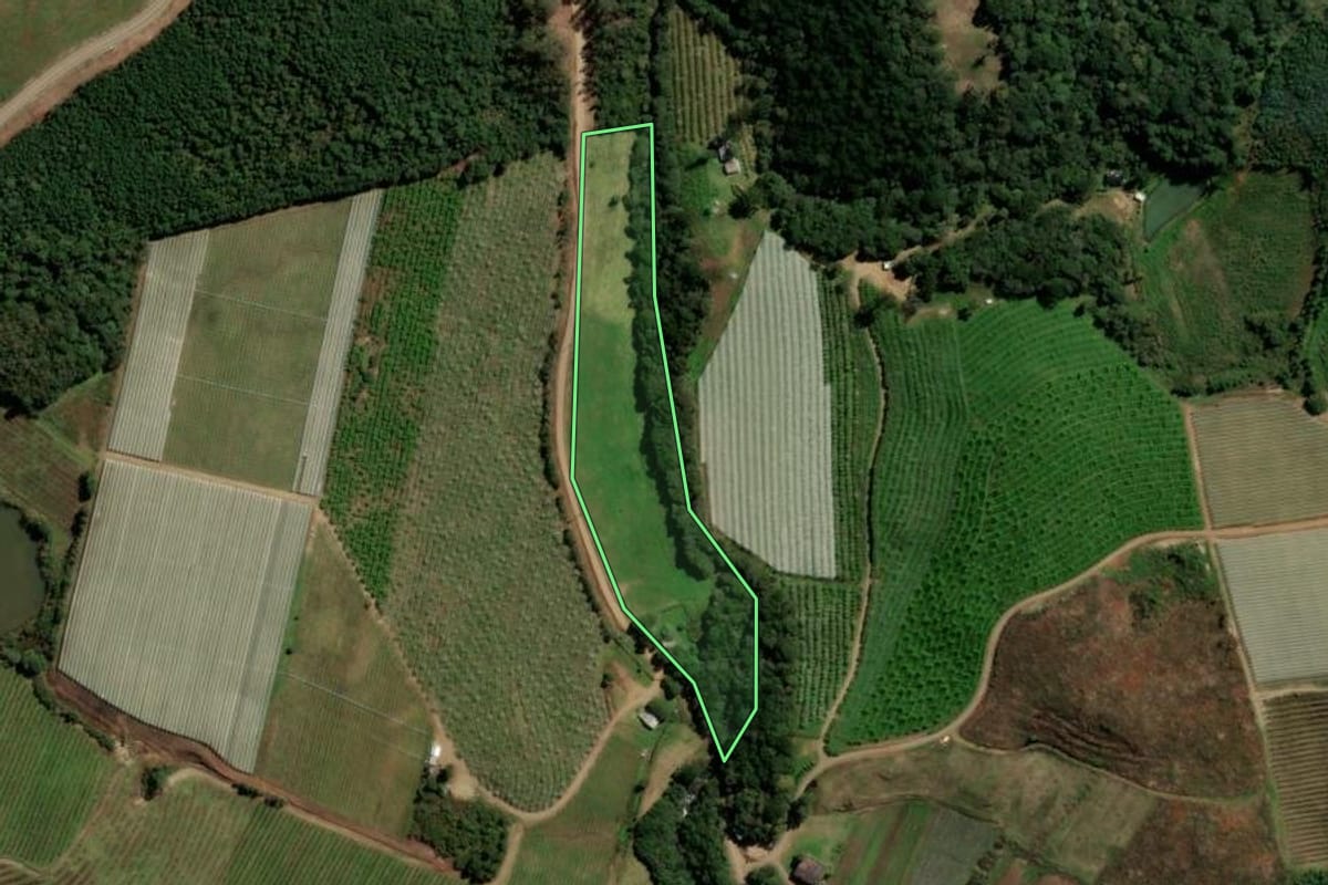 Imagem de satélite do imóvel rural em Caxias do Sul (RS), com o contorno declarado no CAR desenhado por cima.
