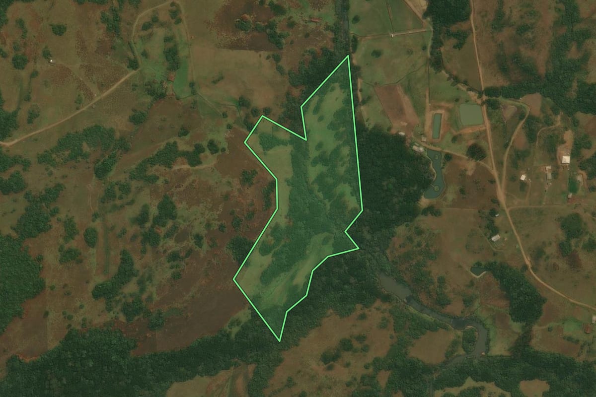 Imagem de satélite do imóvel rural em Caxias do Sul (RS), com o contorno declarado no CAR desenhado por cima.