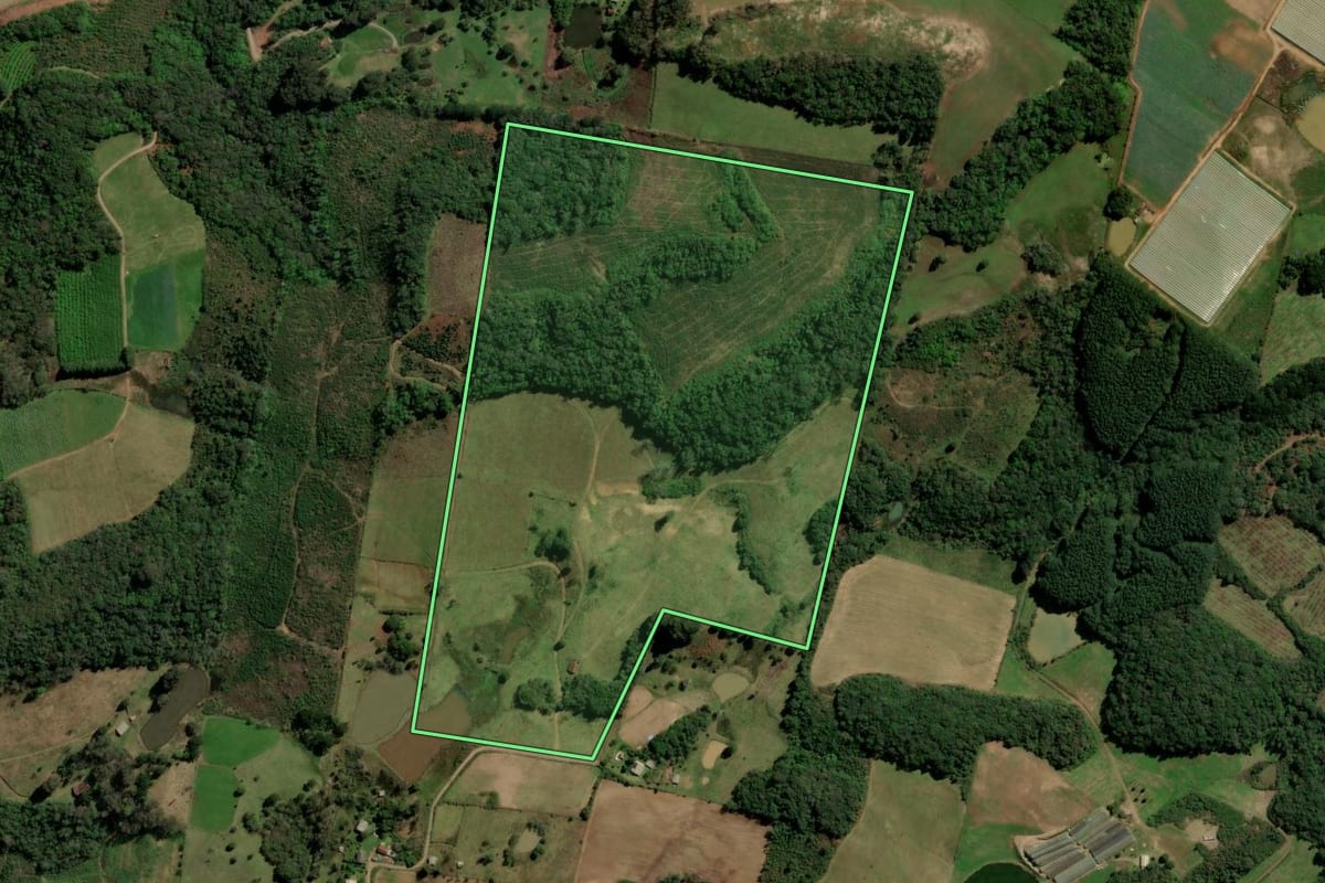 Imagem de satélite do imóvel rural em Caxias do Sul (RS), com o contorno declarado no CAR desenhado por cima.