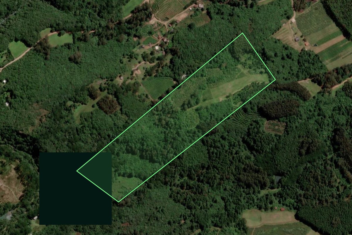 Imagem de satélite do imóvel rural em Caxias do Sul (RS), com o contorno declarado no CAR desenhado por cima.