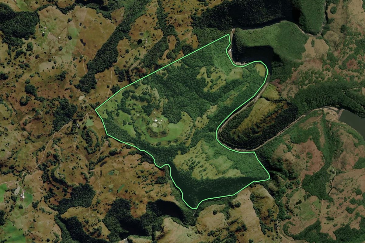 Imagem de satélite do imóvel rural em Caxias do Sul (RS), com o contorno declarado no CAR desenhado por cima.