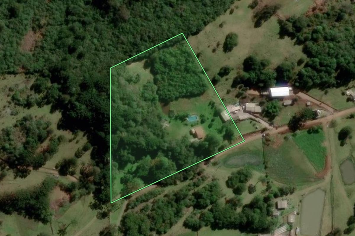 Imagem de satélite do imóvel rural em Caxias do Sul (RS), com o contorno declarado no CAR desenhado por cima.