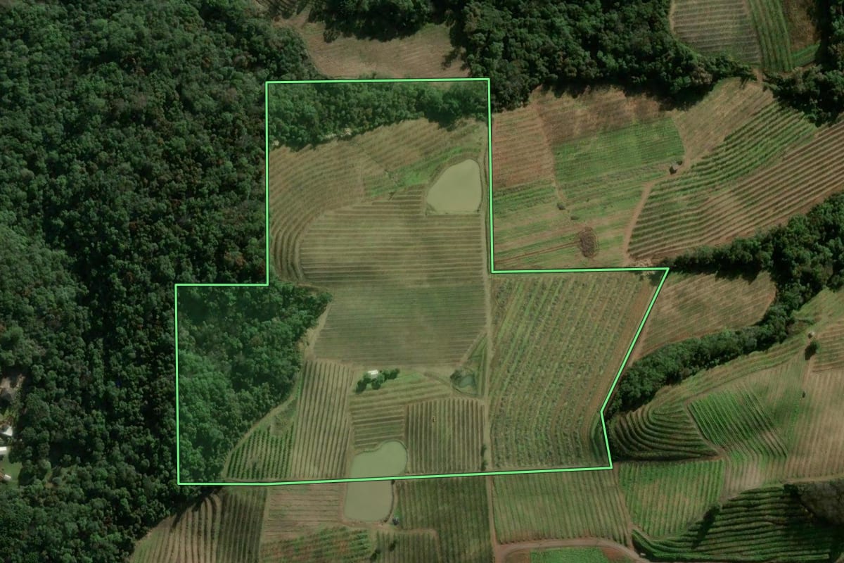 Imagem de satélite do imóvel rural em Caxias do Sul (RS), com o contorno declarado no CAR desenhado por cima.