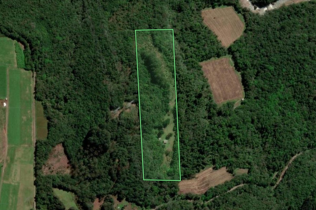 Imagem de satélite do imóvel rural em Caxias do Sul (RS), com o contorno declarado no CAR desenhado por cima.