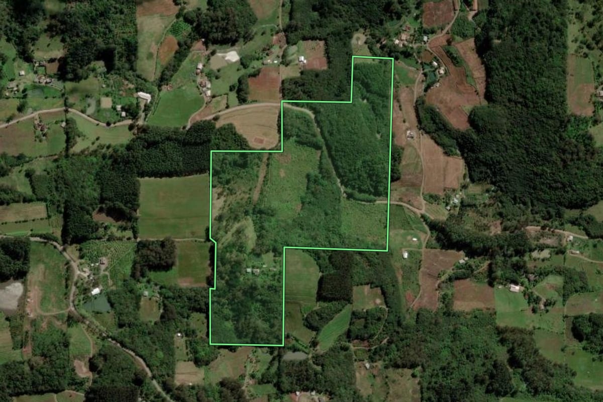 Imagem de satélite do imóvel rural em Caxias do Sul (RS), com o contorno declarado no CAR desenhado por cima.